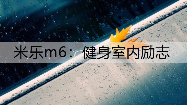 米乐m6：健身室内励志