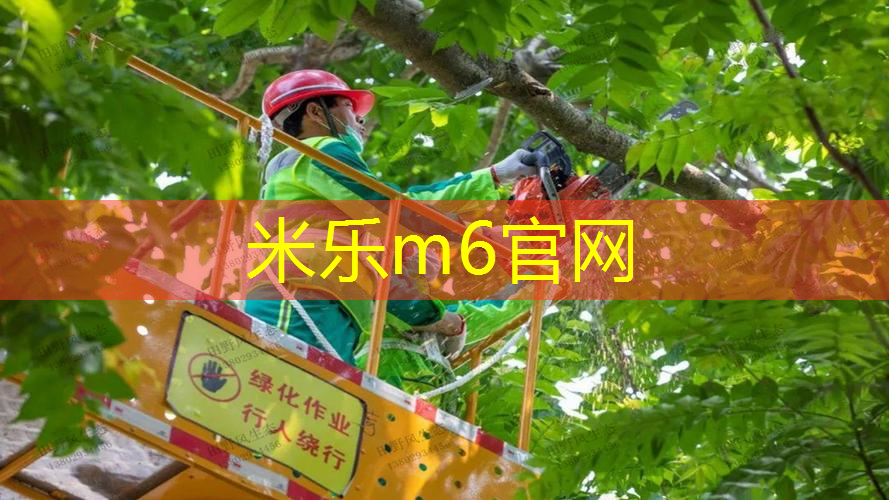 mile·米乐m6：网球拍手柄护套怎么用