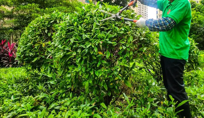 米乐：网球拍线掉磅怎么办