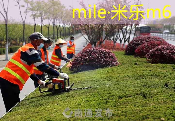 米乐m6官网登录入口：平价网球拍威雷斯价格