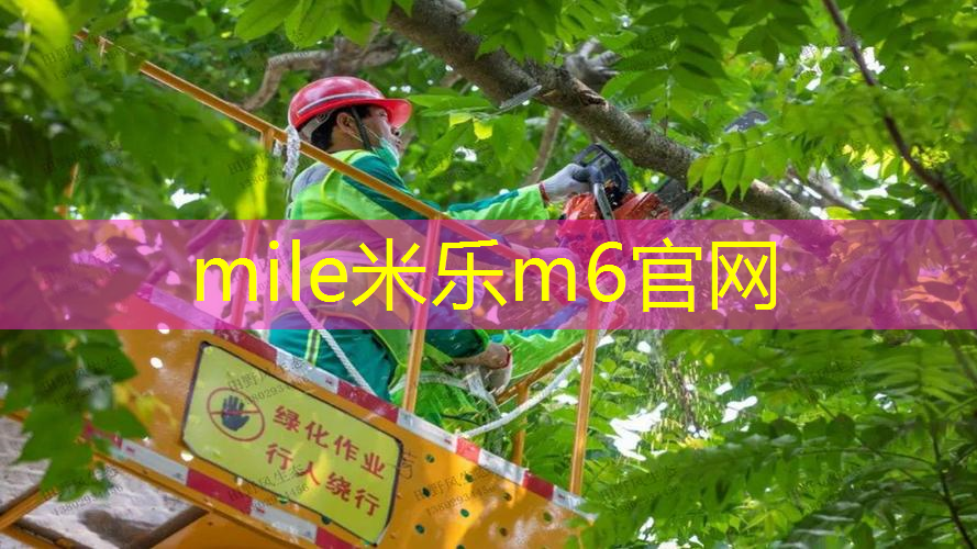 百宝力的初级网球拍