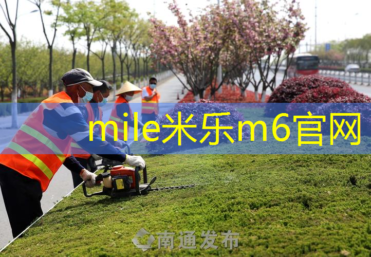 平价网球拍威雷斯价格