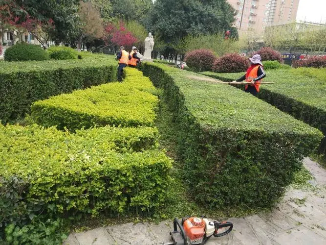 健身器械训练的关键：正确的姿势与动作